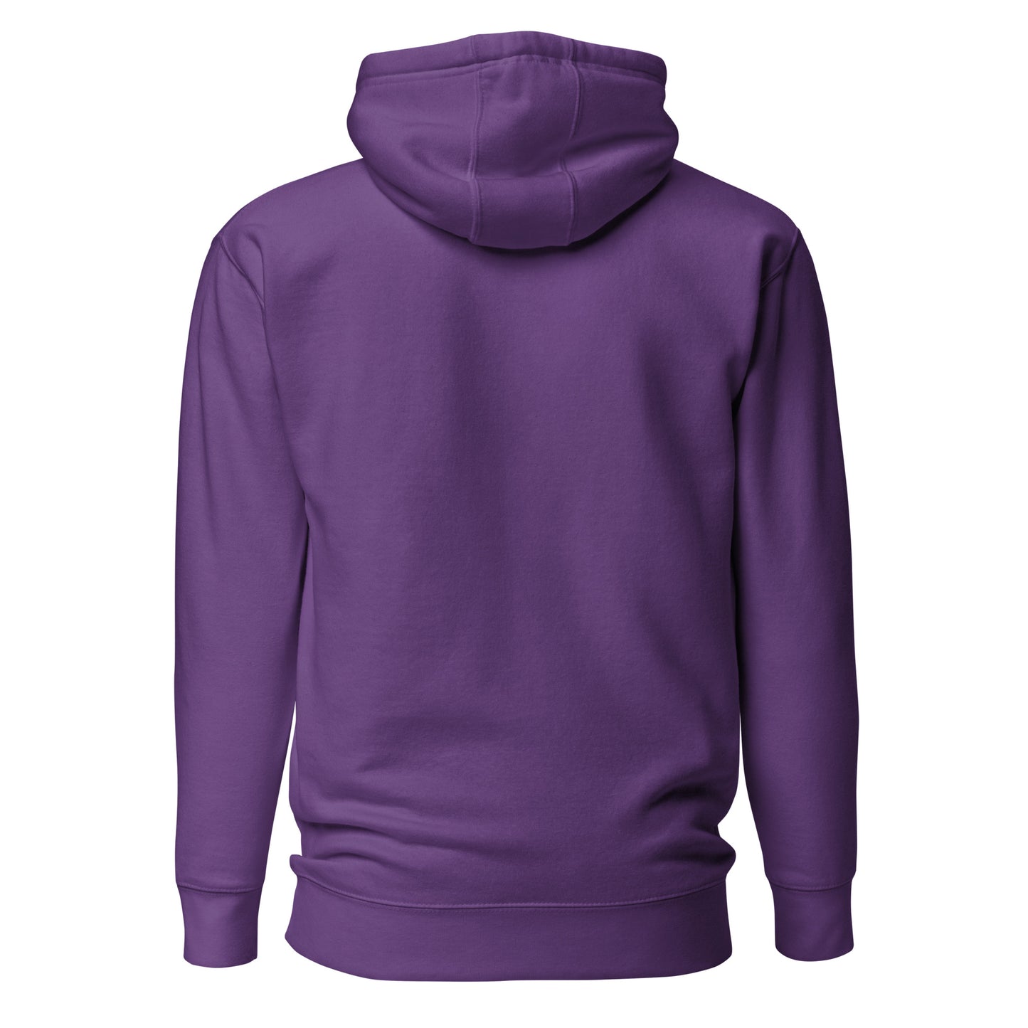 Warm Pickleball Hoodie - "No Bang, No Glory" - DocDink.com
