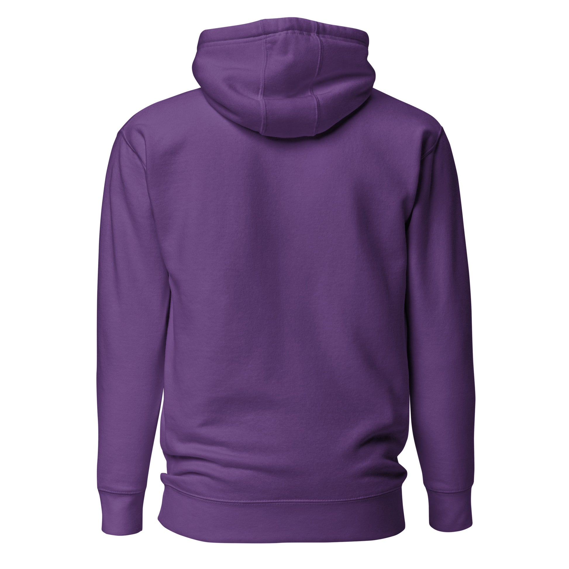 Warm Pickleball Hoodie - "No Bang, No Glory" - DocDink.com